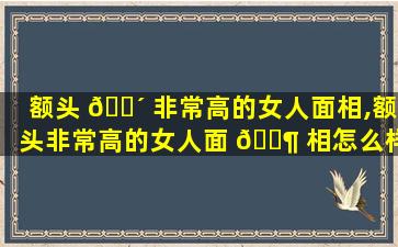 额头 🌴 非常高的女人面相,额头非常高的女人面 🐶 相怎么样